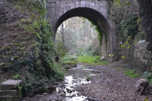 Camino de Santiago - Galicia