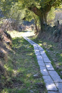 Camino de Santiago - Galician Path