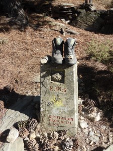 Camino de Santiago - Milestones